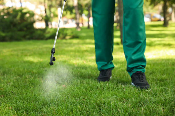 Best Ant Control Services  in Akwesasne, NY