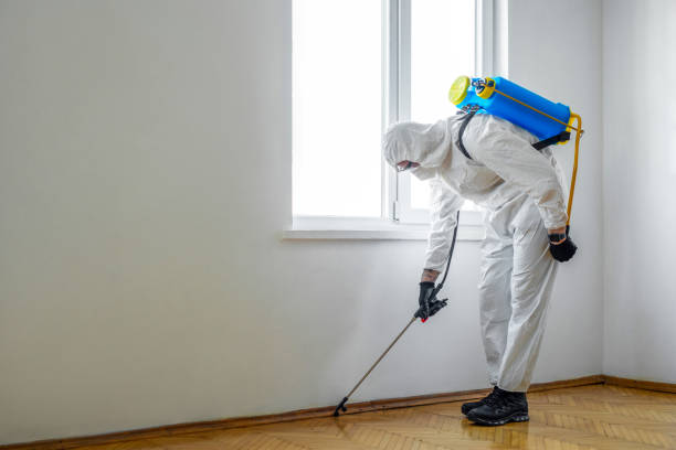 Best Affordable Pest Control Services  in Akwesasne, NY