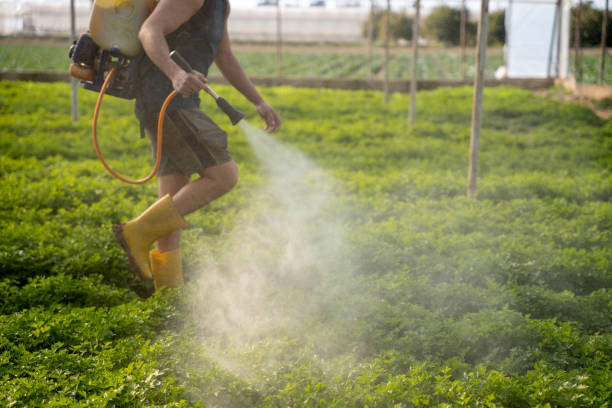 Best Affordable Exterminators  in Akwesasne, NY