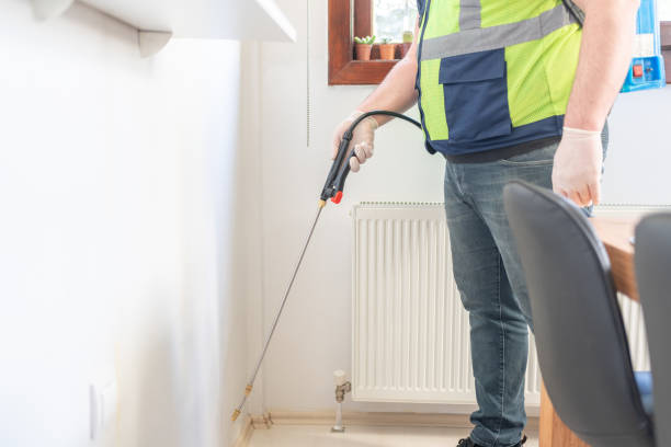 Best Best Pest Control Companies  in Akwesasne, NY