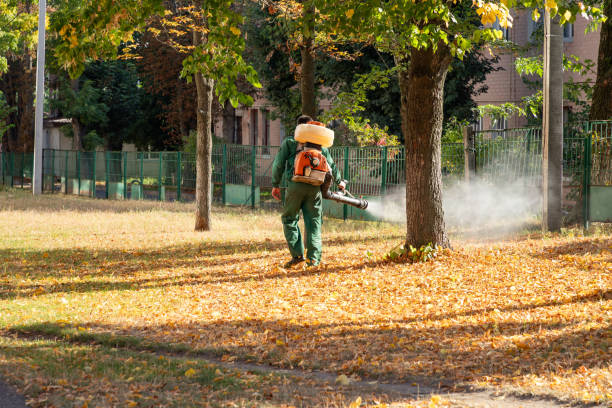 Best Termite Control Services  in Akwesasne, NY