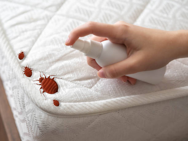 Best Exterminator Services  in Akwesasne, NY