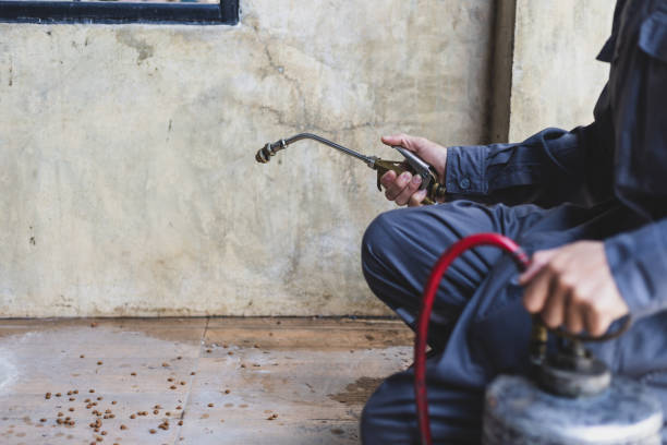 Best Pest Control Cost  in Akwesasne, NY